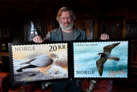 Viggo Ree viser fram frimerkene med falkemotiver fra hans akvareller.