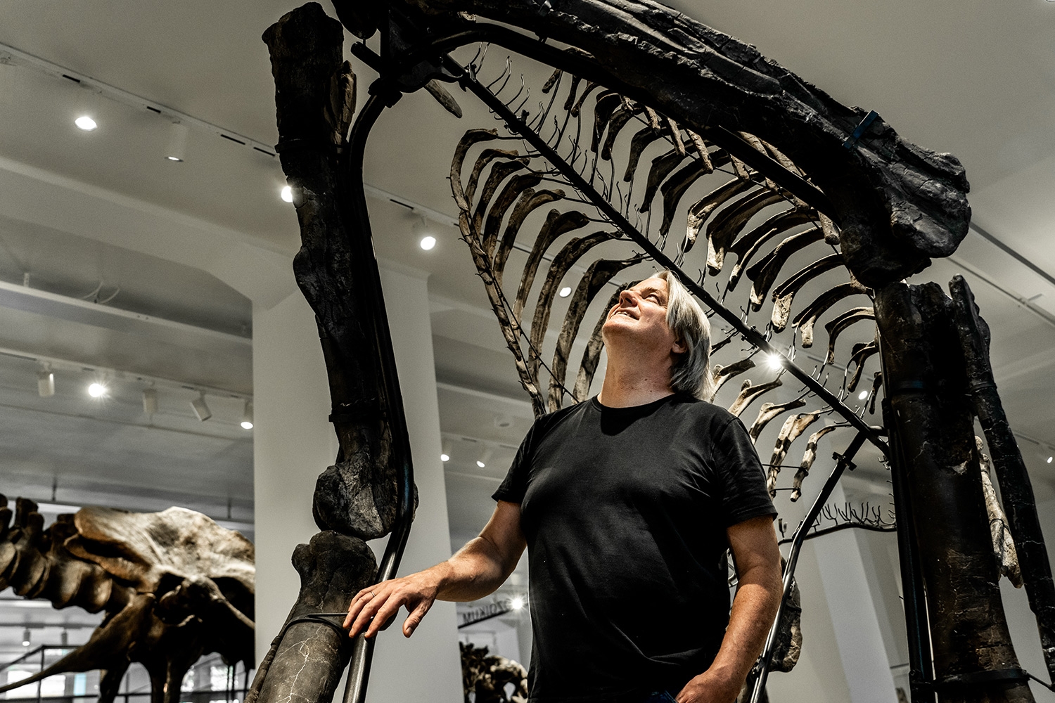 Professor Jørn H. Hurum står under dinosauren Zelda. Andenebb-arten hypacrosaurus kunne bli 7,5 meter lang. Artens navn betyr «nesten den høyeste øglen», et navn den fikk fordi den var nesten like stor som tyrannosaurus rex.